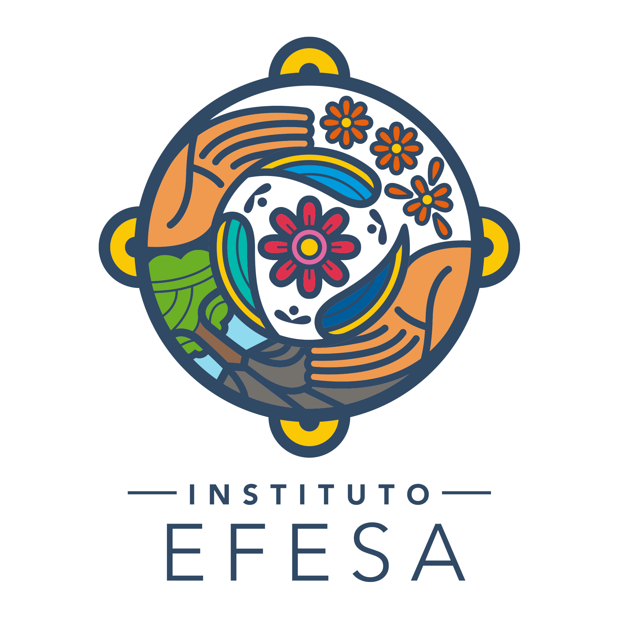 Instituto EFESA